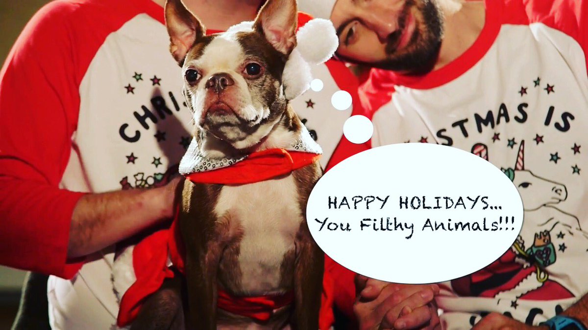 GoBatShitSeries's tweet photo. Not a creature was stirring... except Ezzie! https://t.co/OWuIRsUnSX 😜 🐶🎅🕺🎶💃#GodLovesaTerrier #XmasEve #Comedy #twasthenightbeforechristmas https://t.co/qYUoMqZIyc