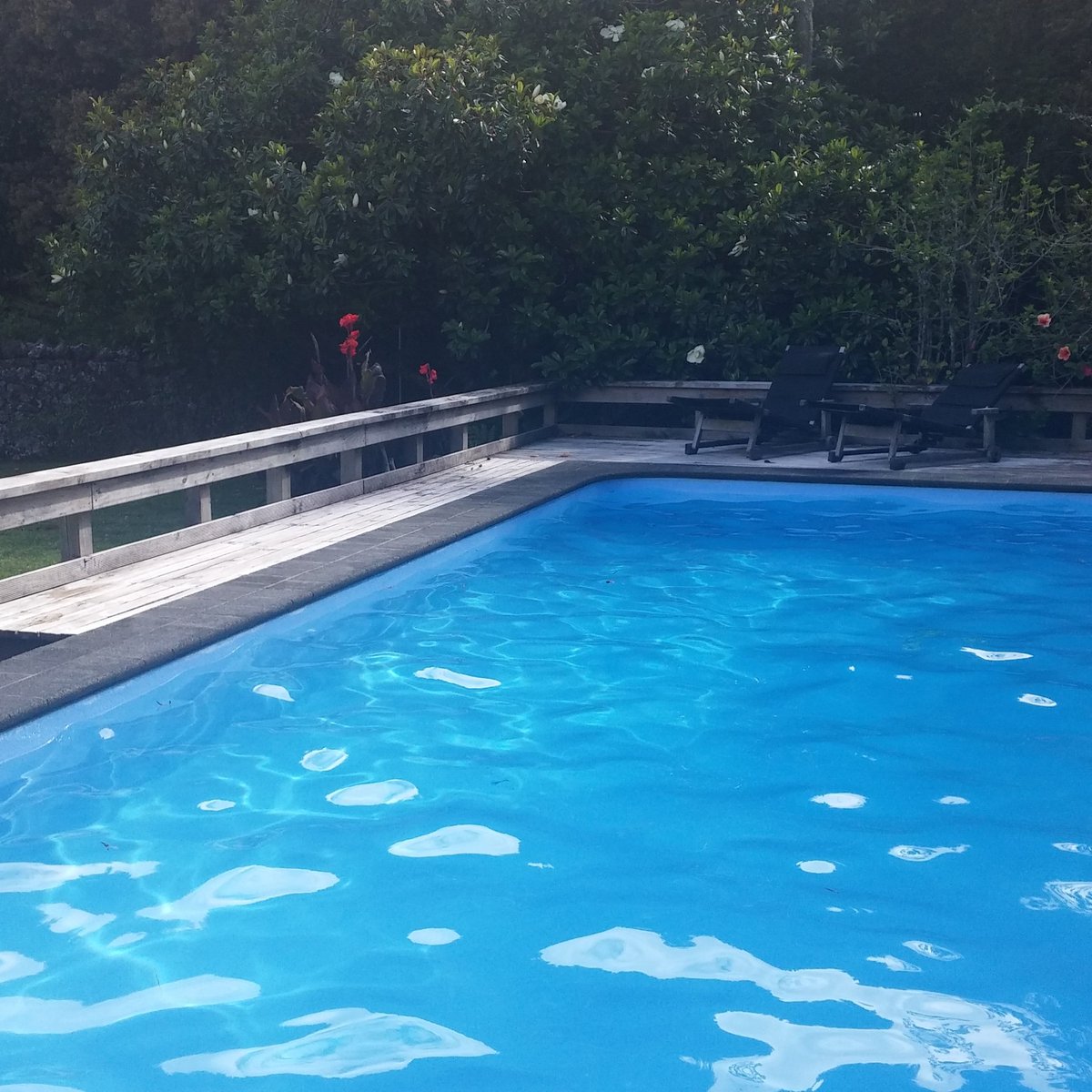 c45par's tweet photo. Quick Christmas swim #summerchristmas #doingchristmasproperly https://t.co/HdqGjQOFM6