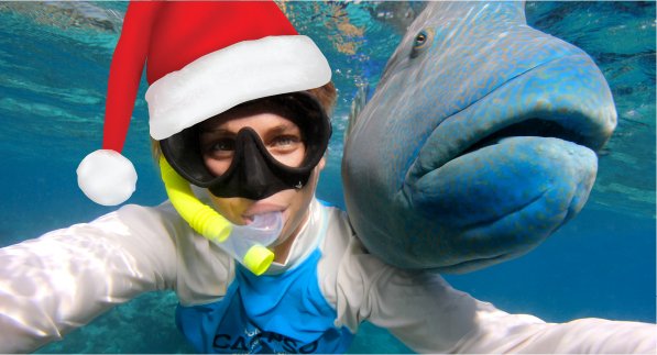 AquariusSailing's tweet photo. Wishing you all a very Merry Christmas and a happy 2017!
Best wishes from the Jones family, staff and crew of Tropical Journeys. https://t.co/NX8WBCcl70