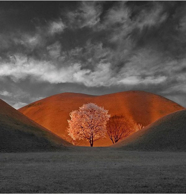 n0tfeeling's tweet photo. Alex Lee #photography https://t.co/hOUKnLY0AV