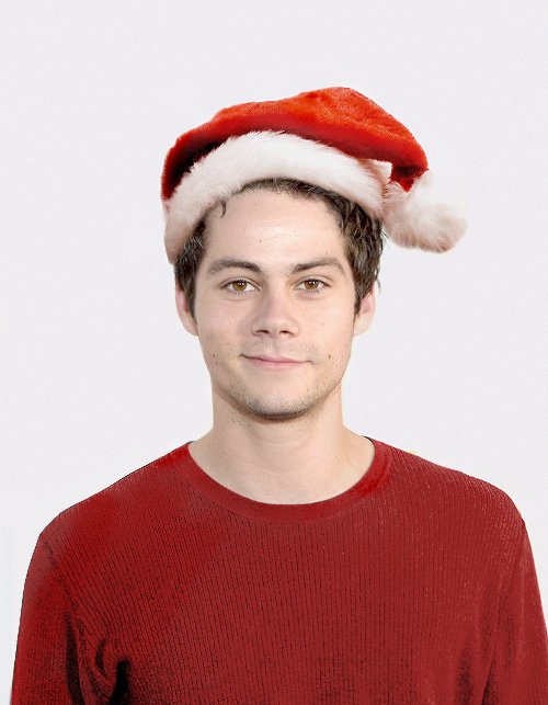 msstilinski_'s tweet photo. feliz natal gatos e gatas https://t.co/poiPd3fwJN