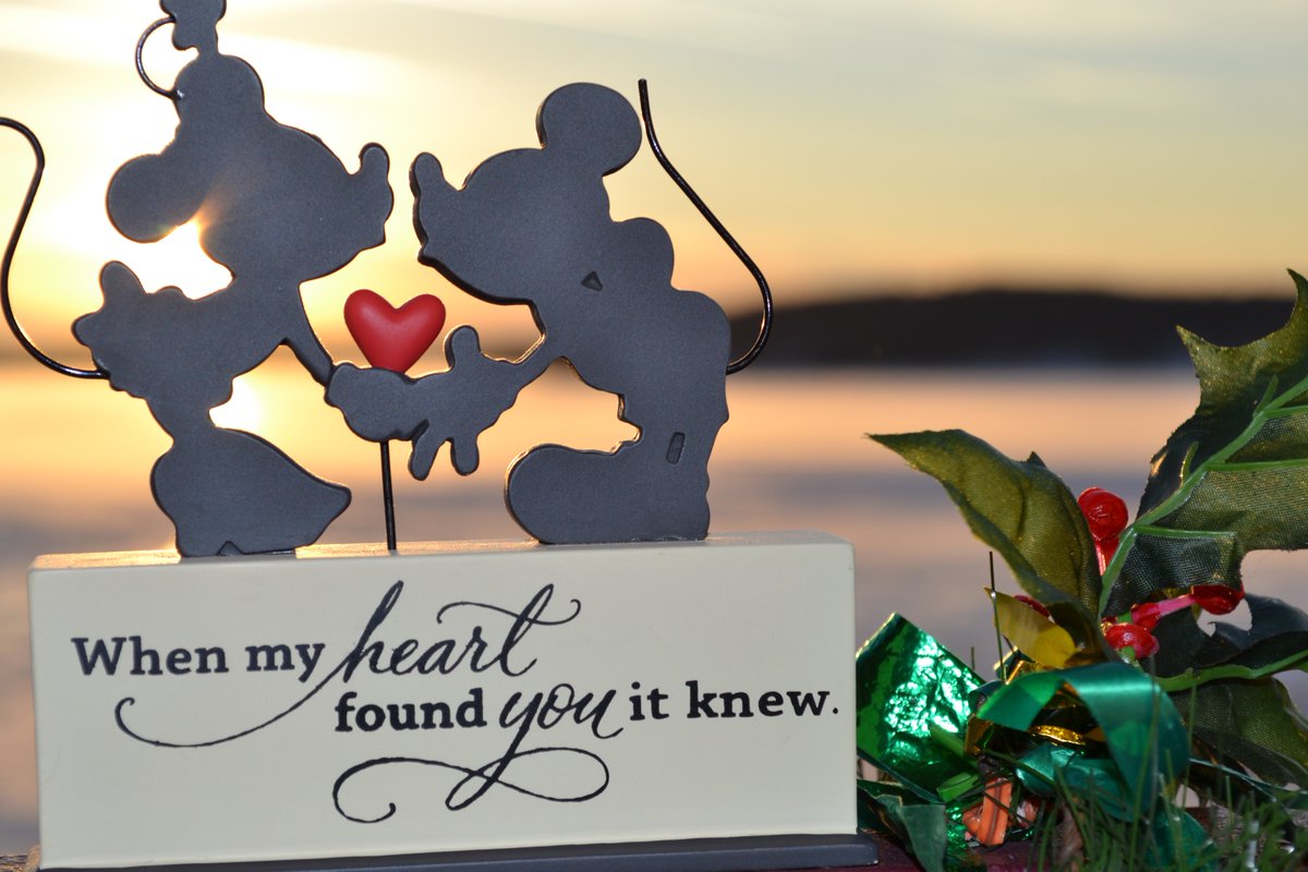 McQDisneyMadnss's tweet image. #merrychristmas #2ALL and #2ALL #AGoodNight 

#McHughDisneyMadness