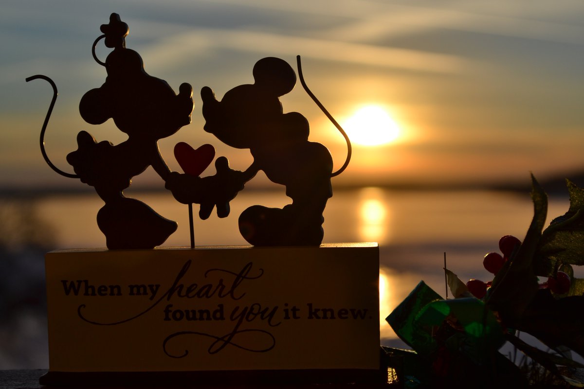 McQDisneyMadnss's tweet image. #merrychristmas #2ALL and #2ALL #AGoodNight 

#McHughDisneyMadness