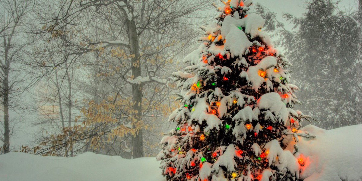 Merry Christmas to all.