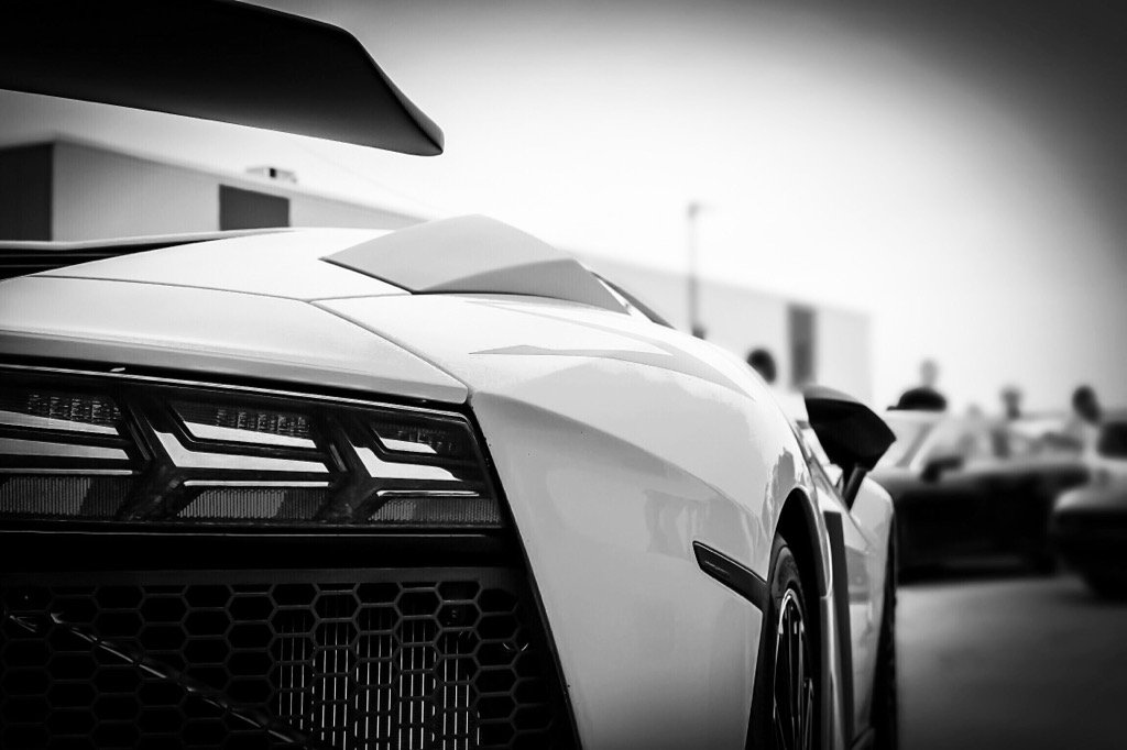 JstrongExotics's tweet image. Merry Christmas to all of our followers! I hope you've enjoyed some of our content from this past year, more to come!