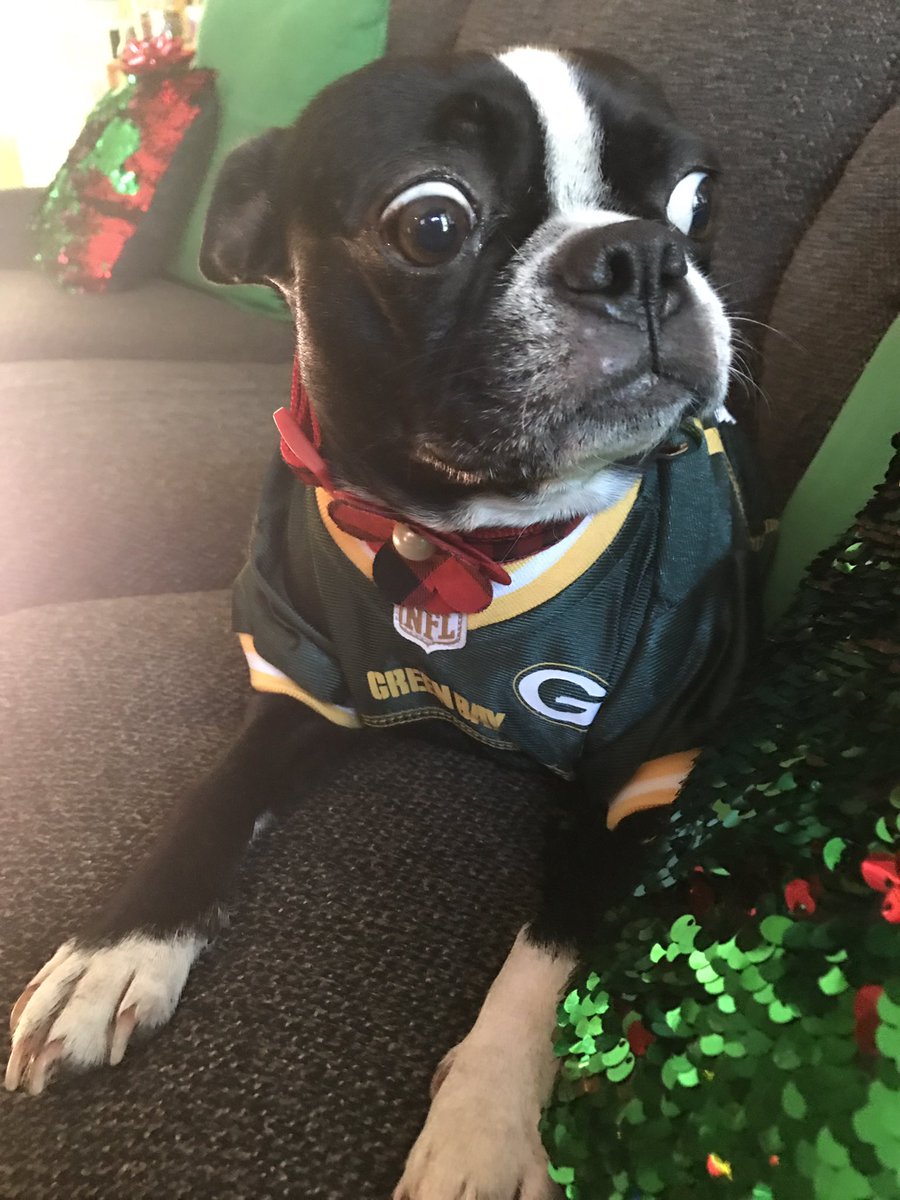 SomeKimberly's tweet photo. Sunny agreed today's Packer game was intense. #packers #PackerDog https://t.co/jRDIMoI7A6