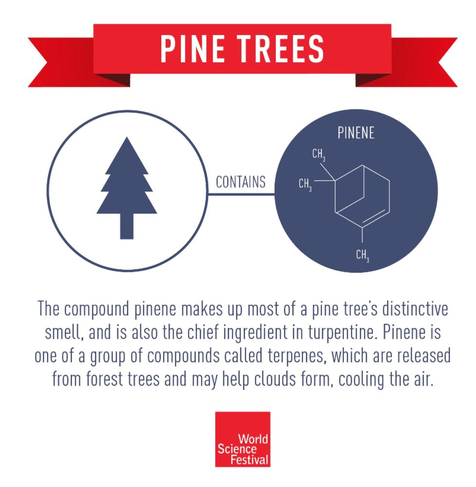 bgreene's tweet photo. Pine trees, gingerbread, potato latkes...starting to smell at lot like Christmas (and Chanukah)--here's why: https://t.co/rvky5g7Dlc https://t.co/LJlrcJSkT7
