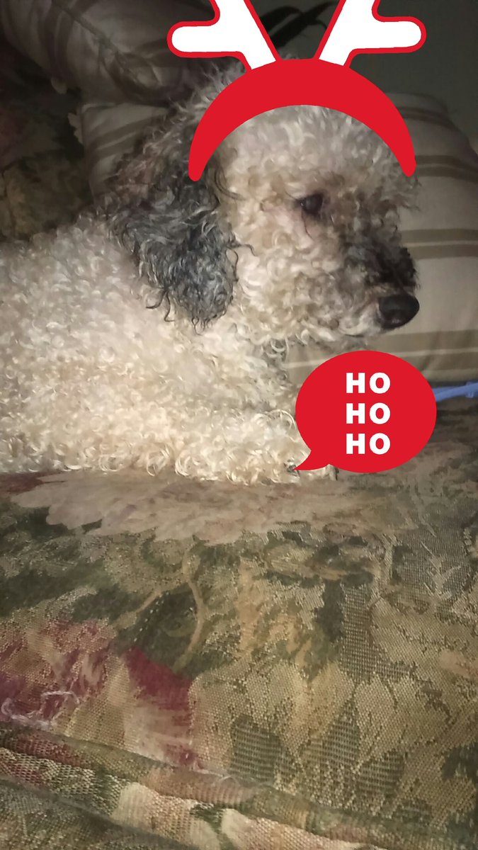 bogger1973's tweet photo. Merry Christmas Everybody https://t.co/phUUBAiMeL