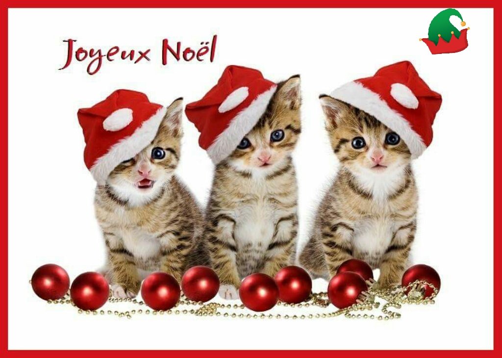 CVinouze's tweet photo. https://t.co/pTX1z0MHfM