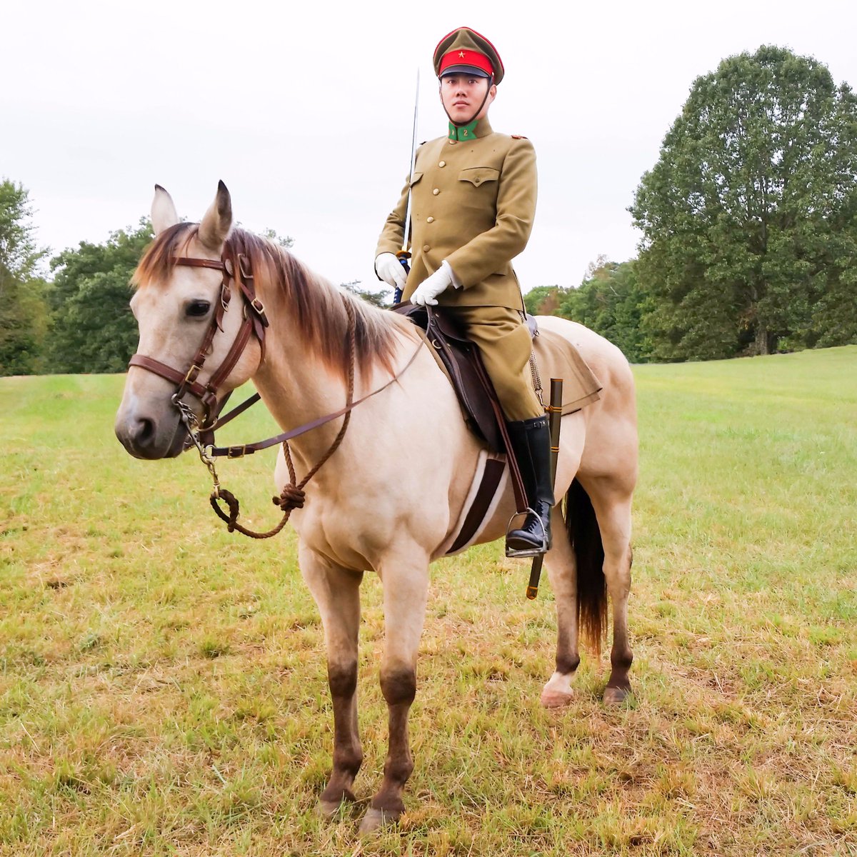 Merry #Christmas happy holidays! Imperial Japanese Army have very festive branch color for Cavalry! メリークリスマス！日本軍騎兵科のクリスマス定色 :D