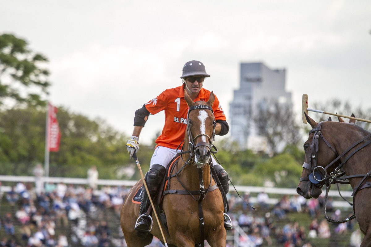 clickpolo tweet media