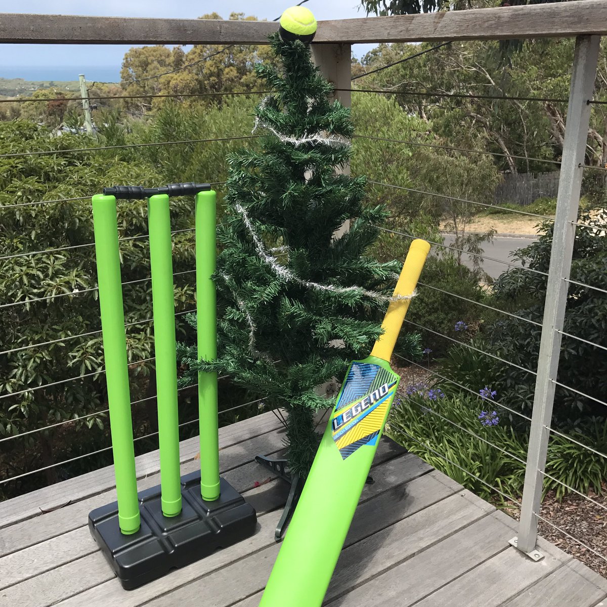 Have yourself a Merry Cricket Christmas!