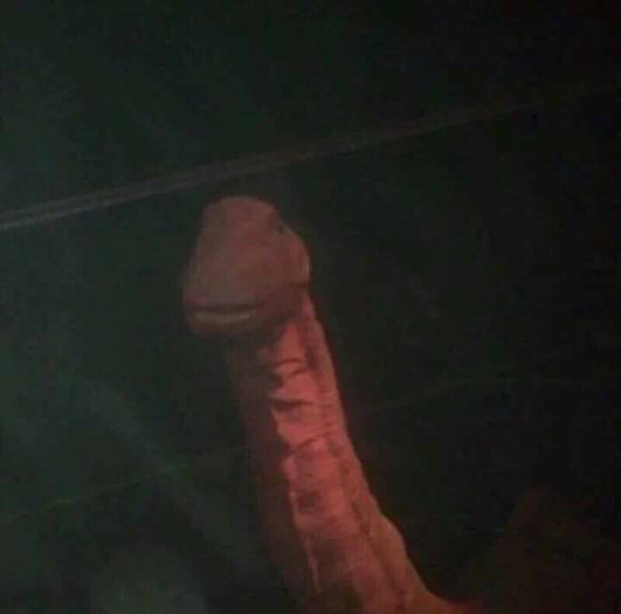 This is what all dick pics sent to me look like https://t.co/jVEfmJYRK2<a href="/tag/snapchat"class="tags"><span>#snapchat</span></a><a href="/tag/porn"class="tags"><span>#porn</span></a><a href="/tag/nsfw"class="tags"><span>#nsfw</span></a><a href="/tag/tits"class="tags"><span>#tits</span></a><a href="/tag/manyvids"class="tags"><span>#manyvids</span></a>