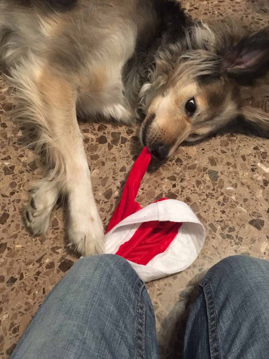 Frede_2's tweet photo. Fuck christmas https://t.co/tYGPpWe1mM