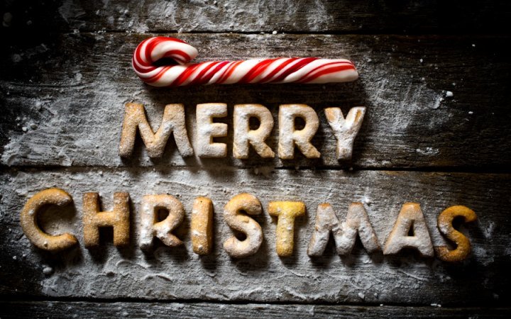 teammilo1's tweet photo. Team Milo wishes you all a very Merry Christmas! x https://t.co/Qihv509dji