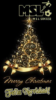 Merry Christmas!!! Feliz Navidad!!!