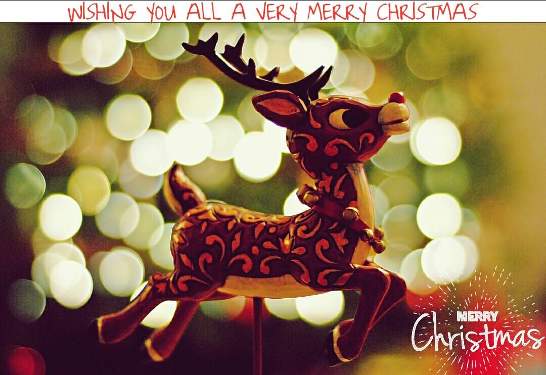 Aristea PSO (@aristeapso) on Twitter photo 