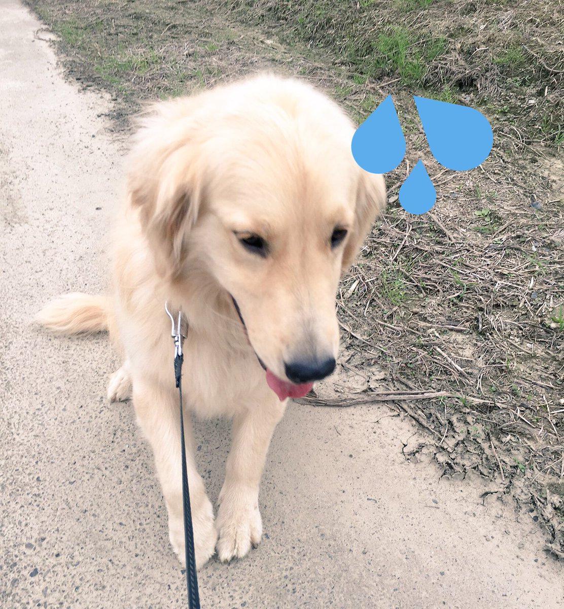 かゆおば👵🏻プロフィール読んでね tweet media