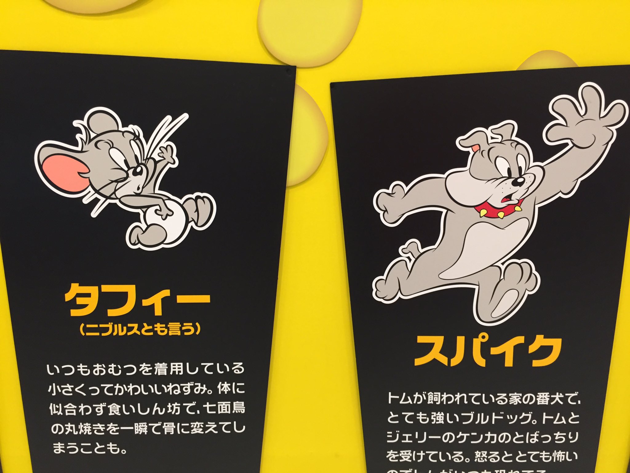 Travelling Ricecake 東北の観光地域づくり いたいた このキャラいた トムとジェリー展 青森県立美術館