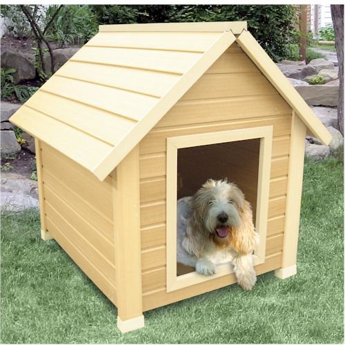 setzutem91's tweet photo. Visit us: https://t.co/JvKYFk766G

#dog #puppy #cute #eyes #pet #pets #animal ... https://t.co/r8pF3kYJNx