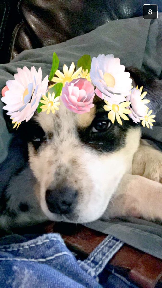 Taylor Parker tweet media