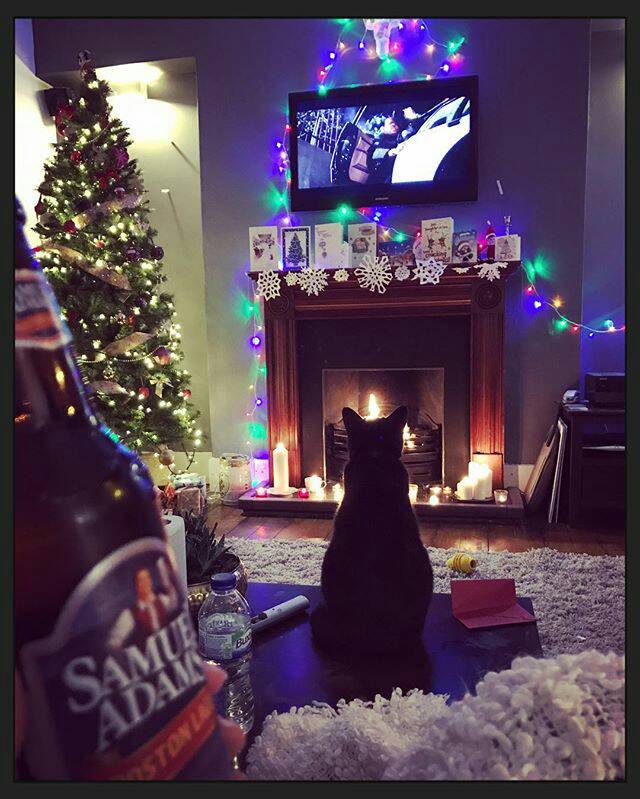 Samuel Adams tweet media