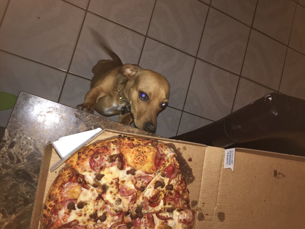 pearlaacrystall's tweet image. THANK YOU SM FOUSEY ! 😢❤️🎄 @fouseyTUBE