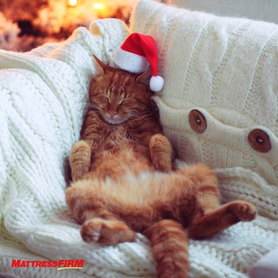 MattressFirmEP's tweet photo. It's almost time to fall-a-la-la-la asleep. #SweetDreams #ChristmasEve #WheresSanta https://t.co/j1NZd2wdBO