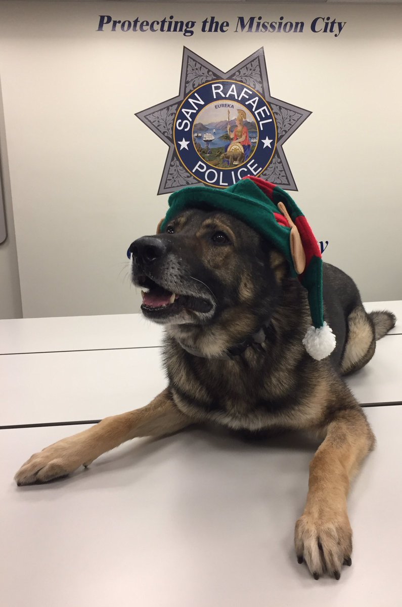 <a href="/K9Faro/">SR Police K9 Faro</a> wishes everyone a safe and happy holiday season!