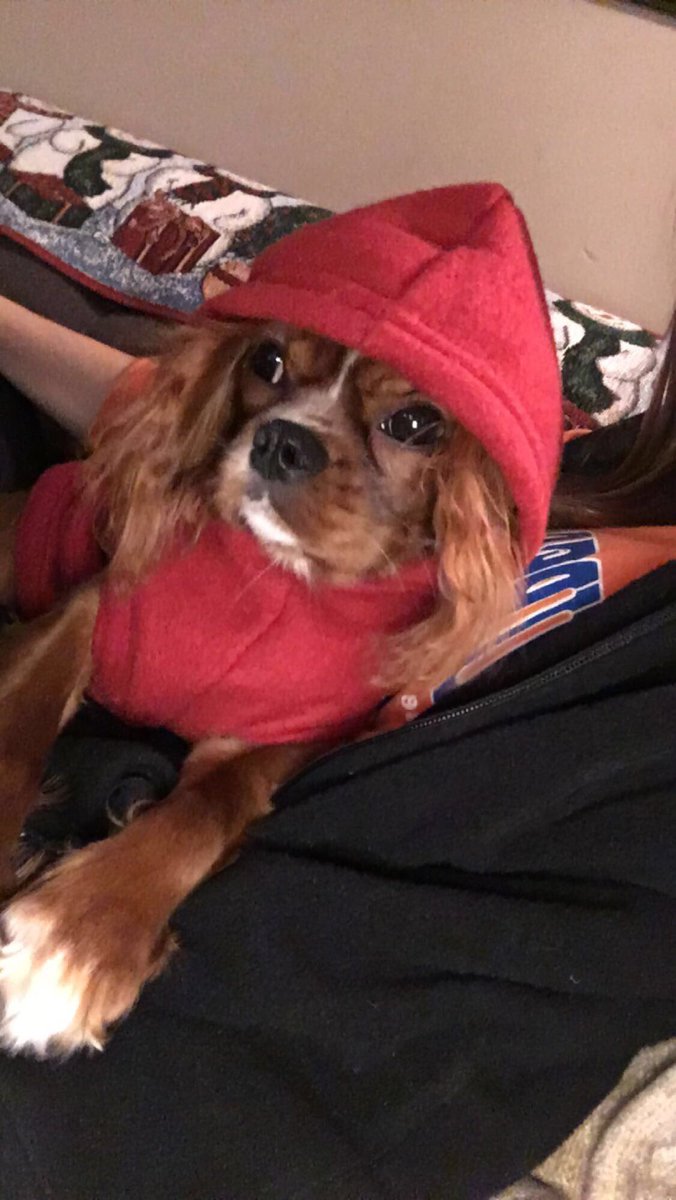 Rain drop 
Drop top

My name is Paisley and I'm wearing a tank top