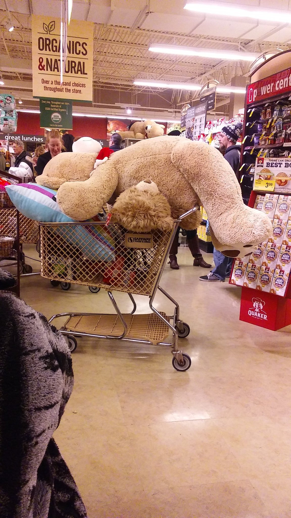 El3phant on X I didn t even now Safeway sold giant bears https t Vz0j9GPLJw X