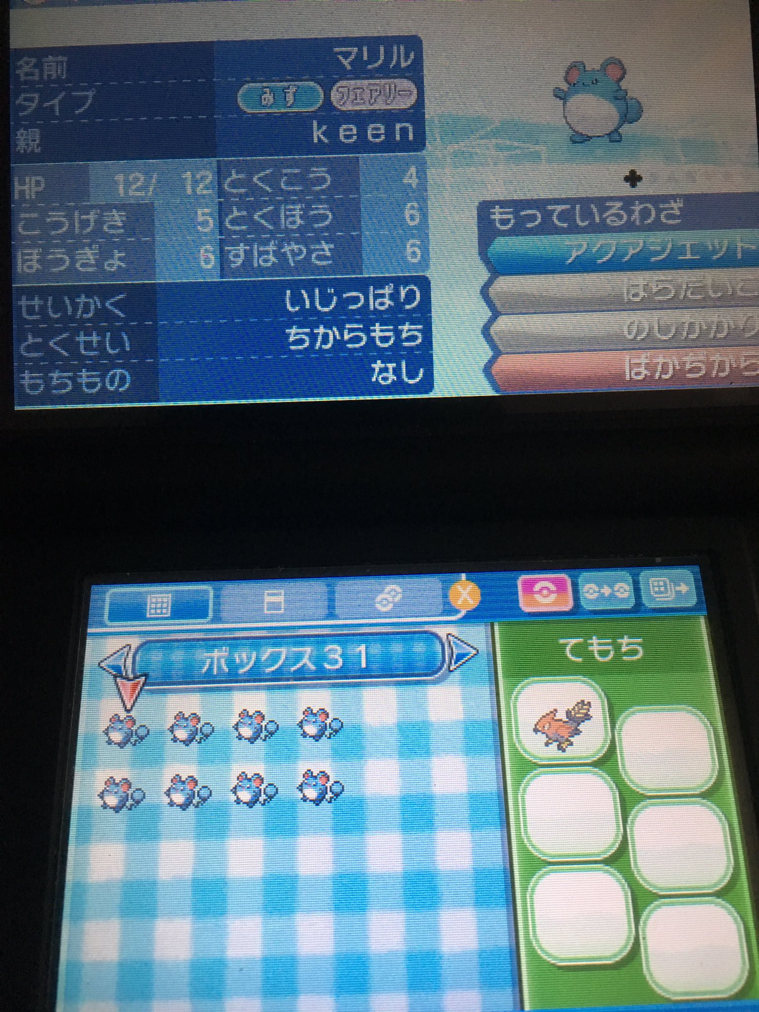 Keen ポケモン垢 理想個体マリル アクジェ はらだいこ 馬鹿力遺伝 8匹ほどいるのでよかったら差し上げますよ サンムーン ポケモン配布 T Co O4xxyt7jd3 Twitter