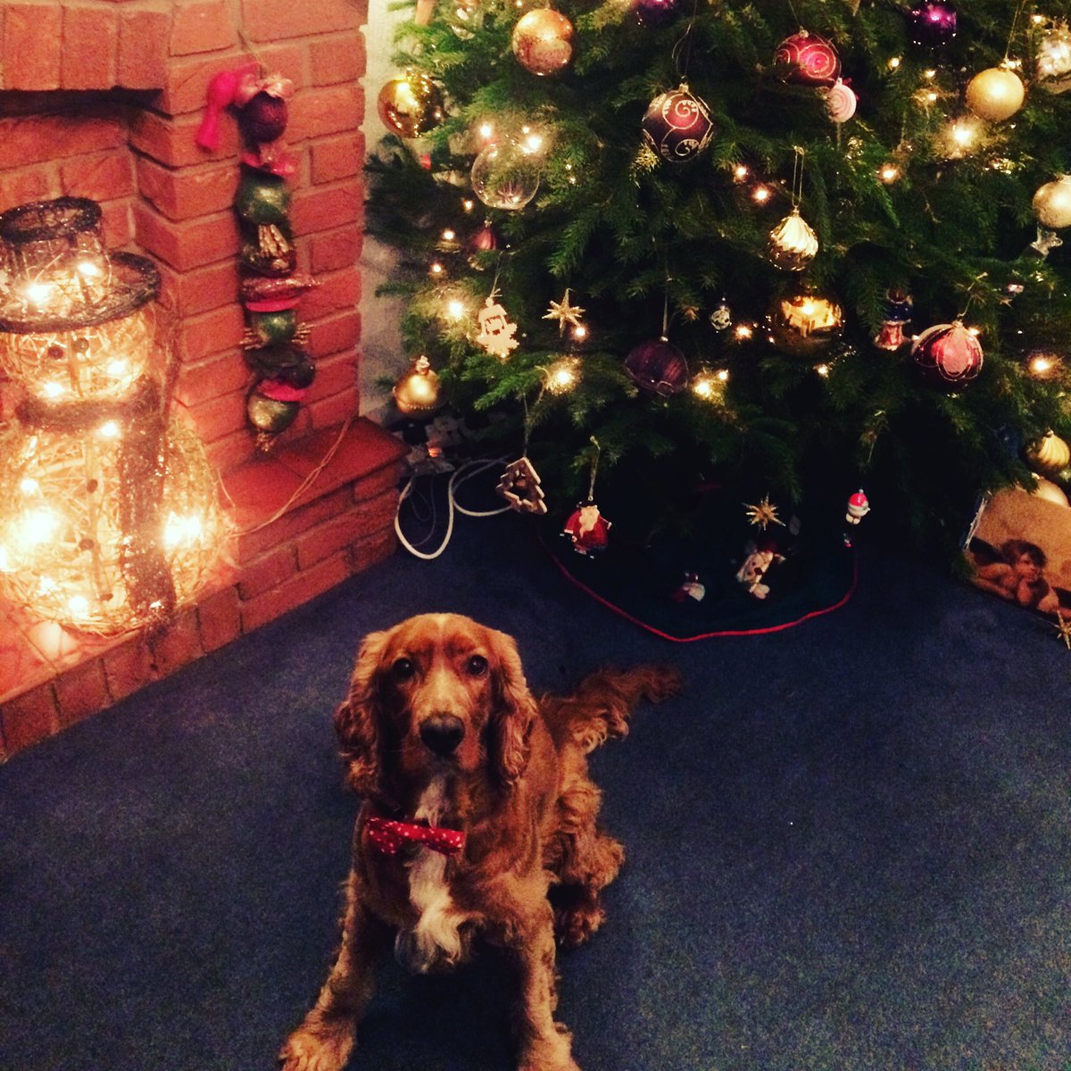 Merry Christmas to all our customers #labelsnthings #gardening