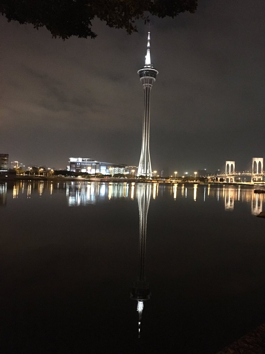 mtcs322's tweet image. 