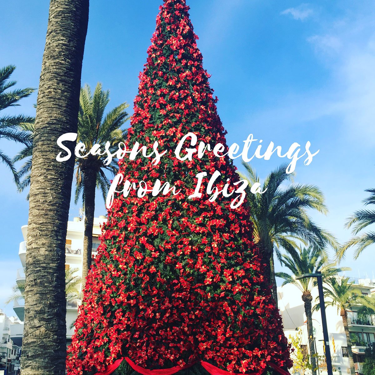 🎄🎅🏻🎁Feliz Navidad from all the team at Ibiza Rocks 🎄🎅🏻🎁