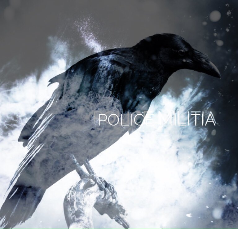 POLICE MILITIA tweet media