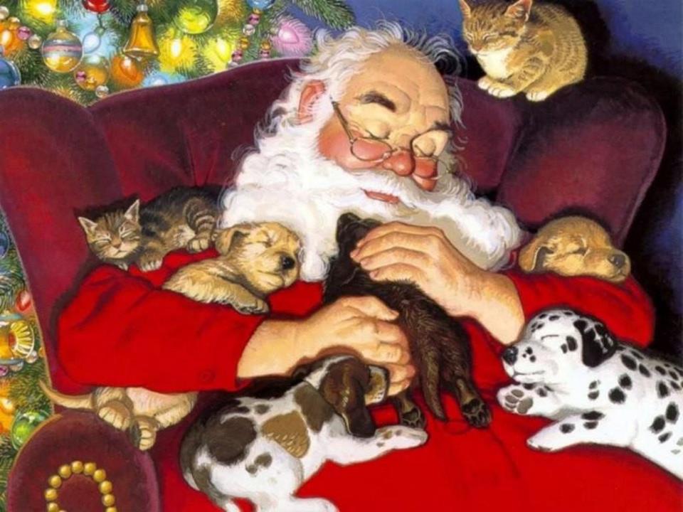 BvpVets's tweet photo. Merry Christmas and a Happy, Healthy New Year! If we were Santa this is how we would relax after a tough night. https://t.co/vyzCrYoBgG