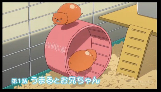 プリモ Primoniko 16年12月 Page 3 Twilog プリモ Primoniko 16年12月 Page 3 Twilog