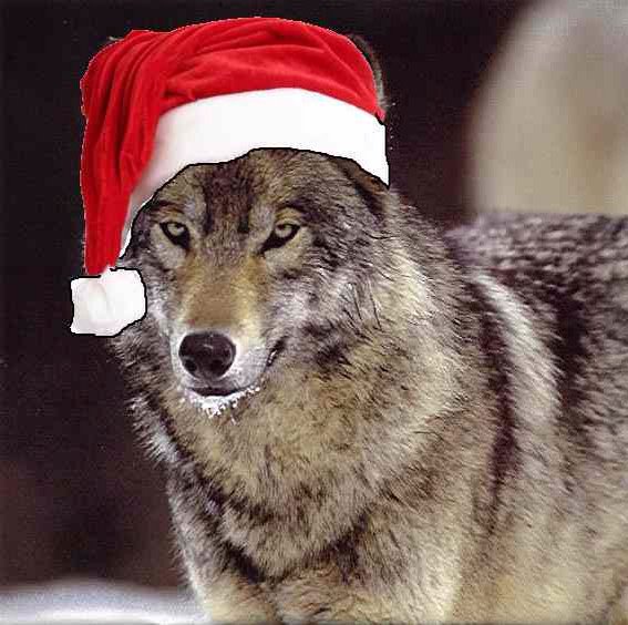 BITTENKGW's tweet photo. 🎄MERRY CHRISTMAS EVERYONE🎄
🎅HAPPY HOLIDAYS⛄️ ❤️❤️❤️❤️
#BITTEN https://t.co/QaIjaXLdme