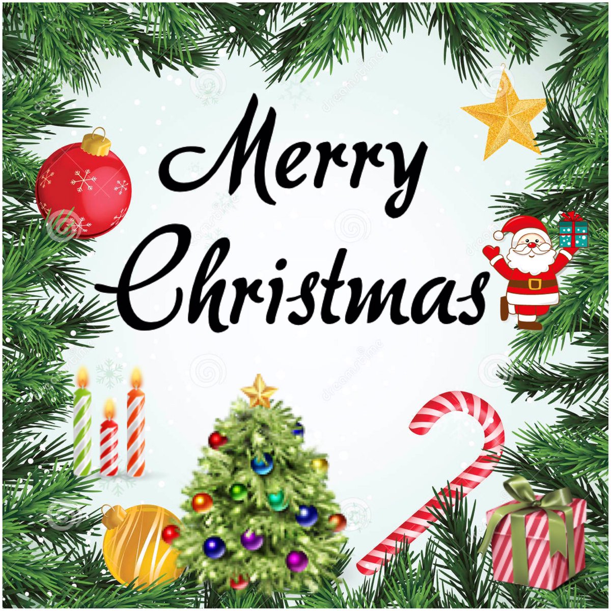 eca_capecod's tweet image. We want to wish everyone a very Merry Christmas! 🎄🎅🏼