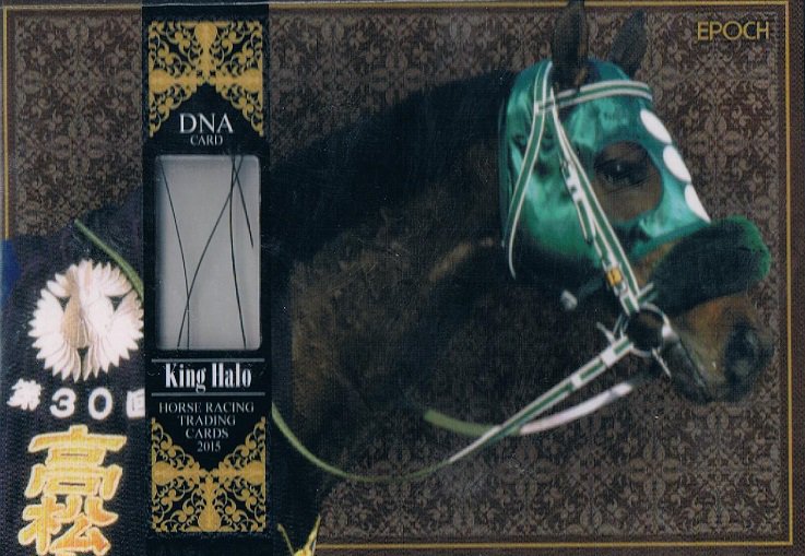 キングヘイロー　ホースレーシング　DNAカード　馬毛カード