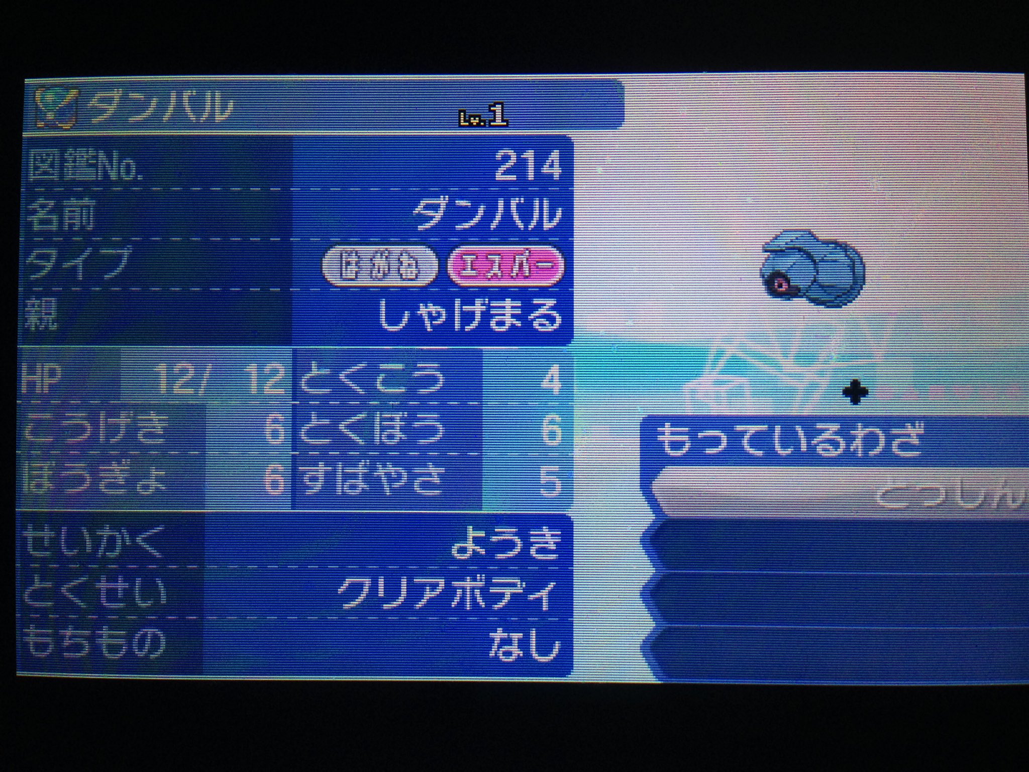 しゃげまる ポケモン垢 C抜き5v ウルボ ダンバル A抜き5v モンボ トレース ポリゴン を配布します 参加方法はフォロー Rtです 〆切は1月5日午後10 00迄となります 当選された方には直接 Dmを送らせていただきます ポケモンサンムーン