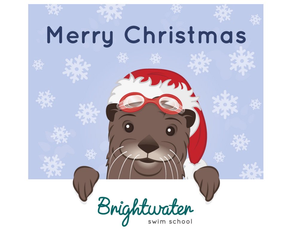 Merry Christmas and a Happy new year to all our swimmers, thank you for all your support this year.

We will see you all again in January!