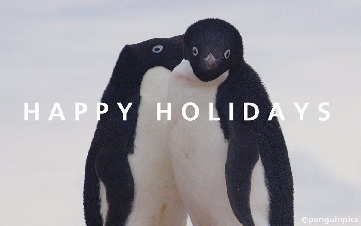 TODAY'S PENGUIN PIC: Petermann Is. #Antarctica