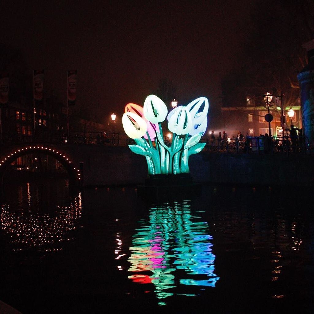 tecupio's tweet photo. #tulips at #amsterdamlightfestival https://t.co/m78hTZDyy1 https://t.co/eOkOUoyKHf