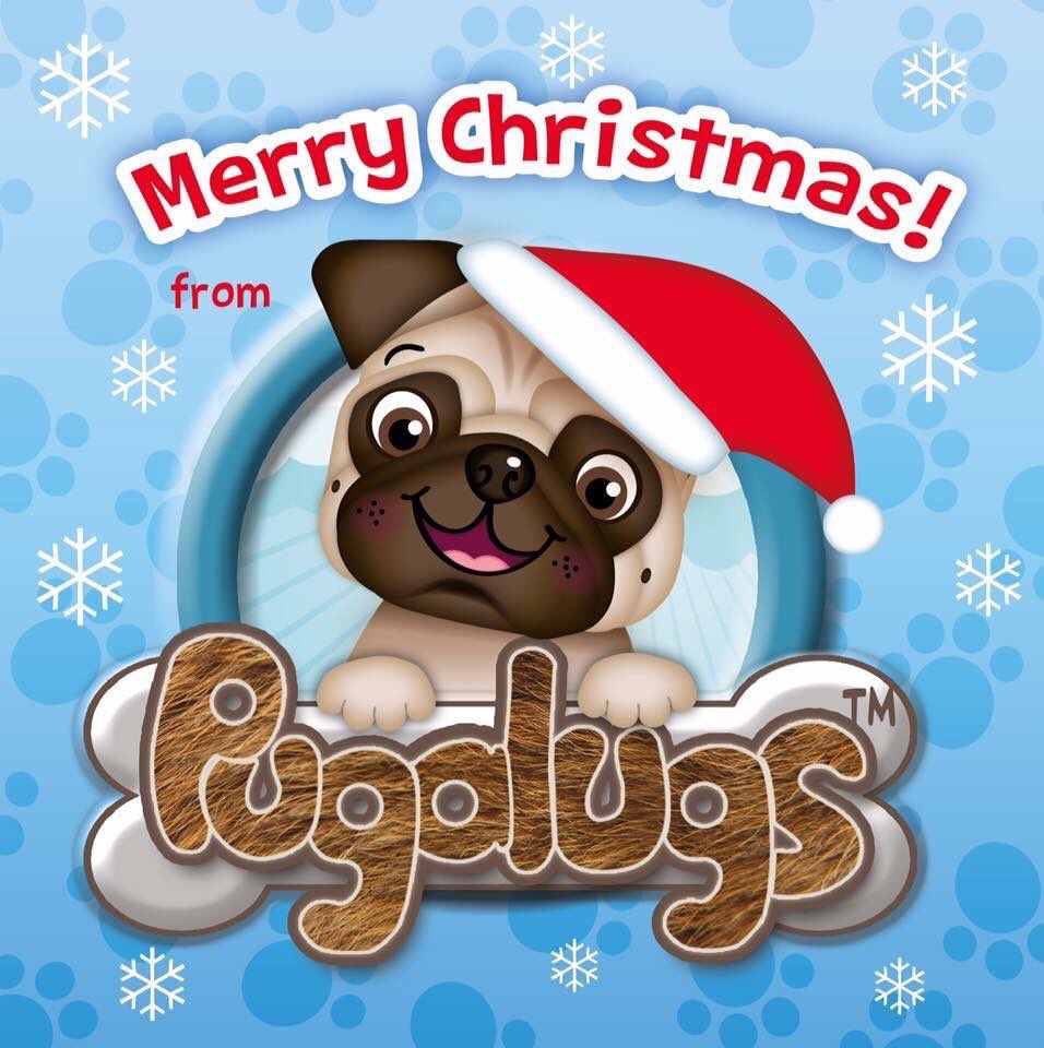 UnclePaz's tweet photo. MERRY CHRISTMAS EVERYONE :-) https://t.co/WuFfOCNMTP