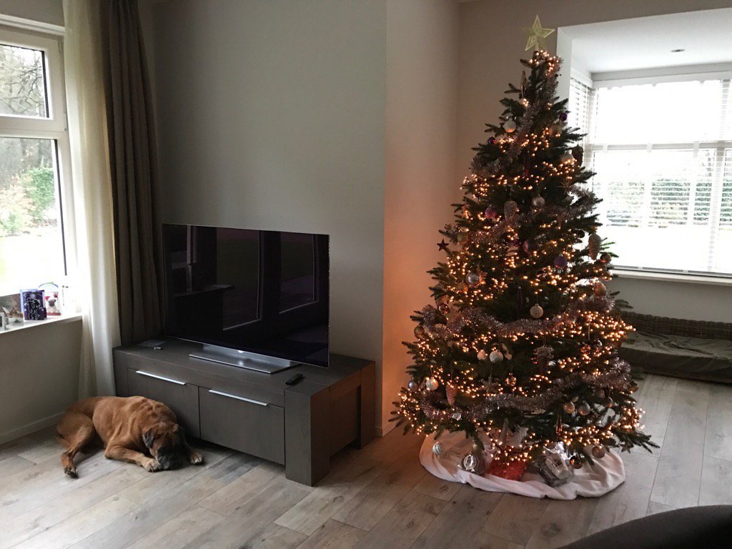 JandeHoop's tweet photo. Namens het complete gezin en dus zeker ook namens Bob mooie en vredige kerstdagen! https://t.co/jVZWd0ZqYP