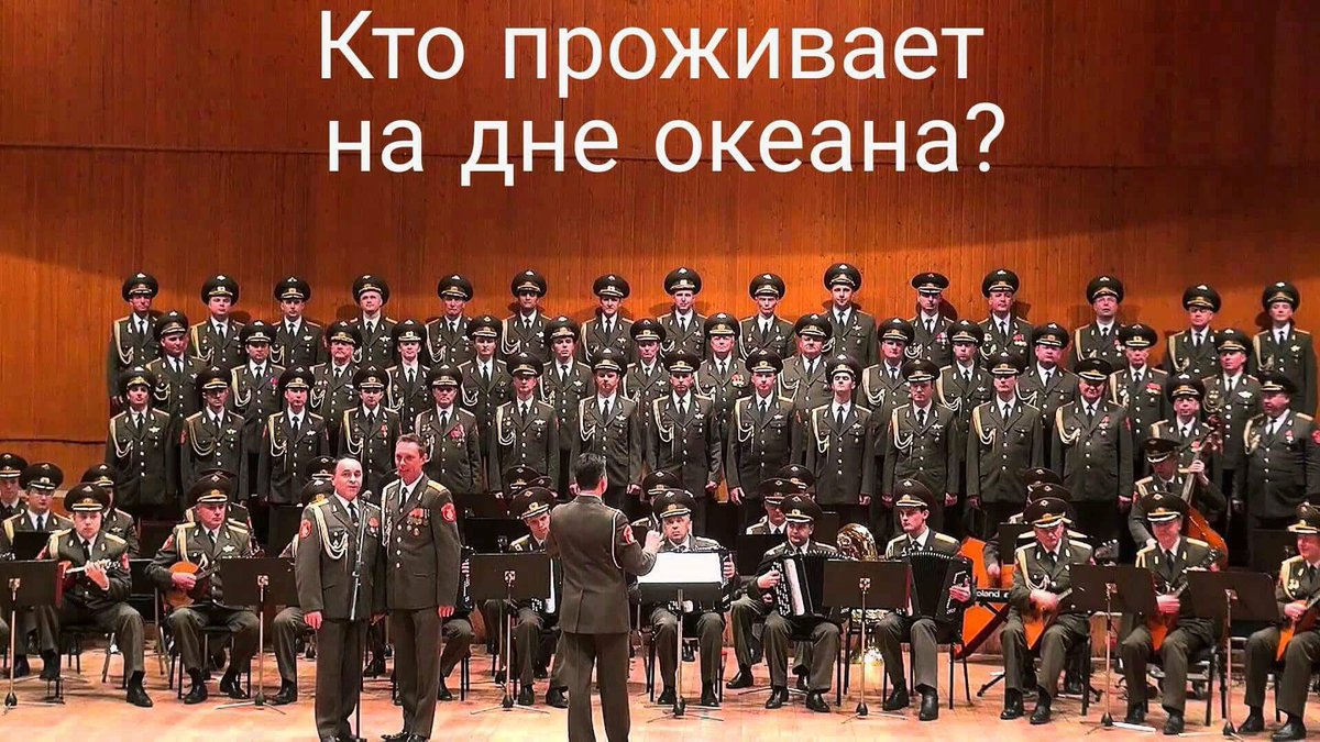Уже 10 тел обнаружены в районе крушения самолета Минобороны РФ - Цензор.НЕТ 670