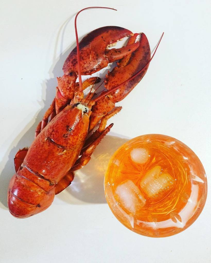 TheSchoolOf_You's tweet photo. Merry Christmas! I am about to do something with this lobster whilst sipping on an Aperol … https://t.co/2rXP9QGOr3 https://t.co/j5i2fiyj6j