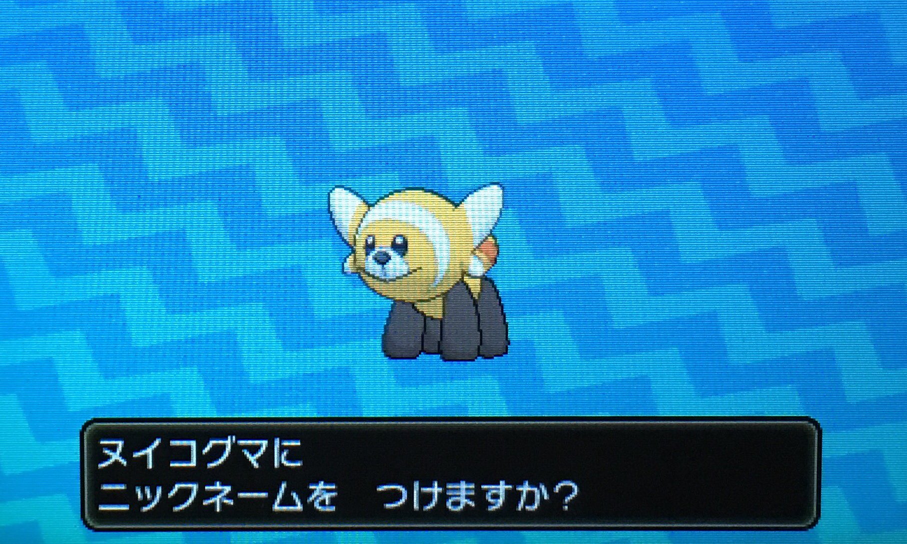 隼レイカ はやぶさの色違いヌイコグマが生まれました ポケモンサンムーン 色違いポケモン T Co Op7jic6ene Twitter